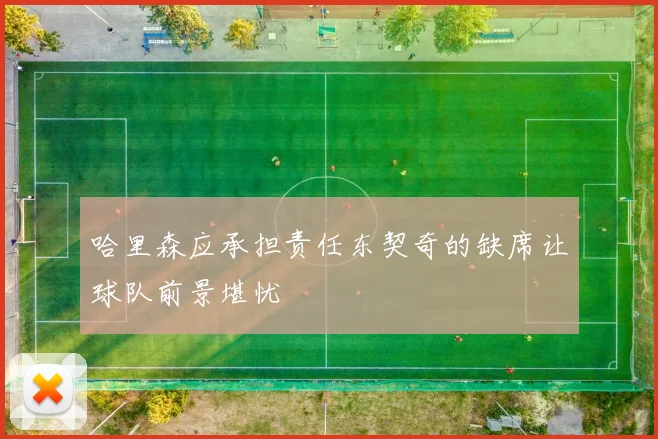 哈里森应承担责任东契奇的缺席让球队前景堪忧