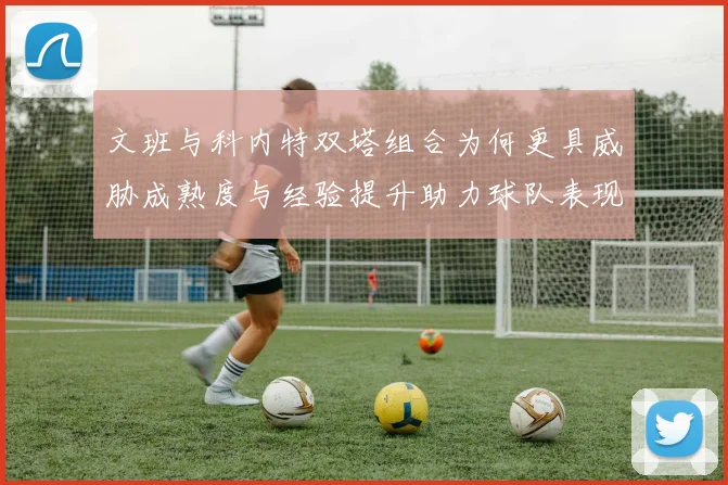 文班与科内特双塔组合为何更具威胁成熟度与经验提升助力球队表现