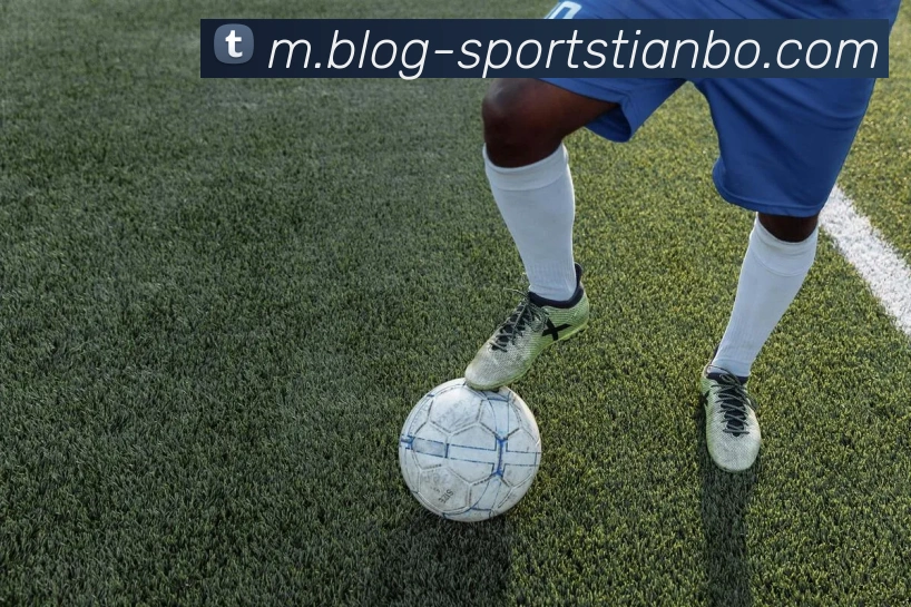 App Interface Preview