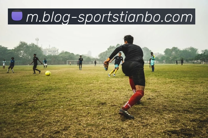 天博体育APP 封面图